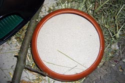 Keramikschale gefüllt mit speziellem Hamsterbadesand 